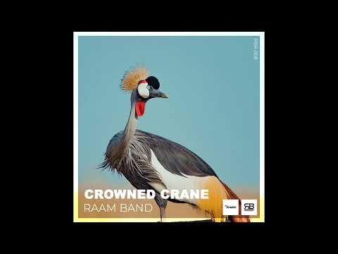 RAAM BAND Unveils “Crowned Crane (Original Mix)