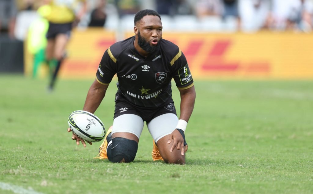Sharks stooping to conquer Europe